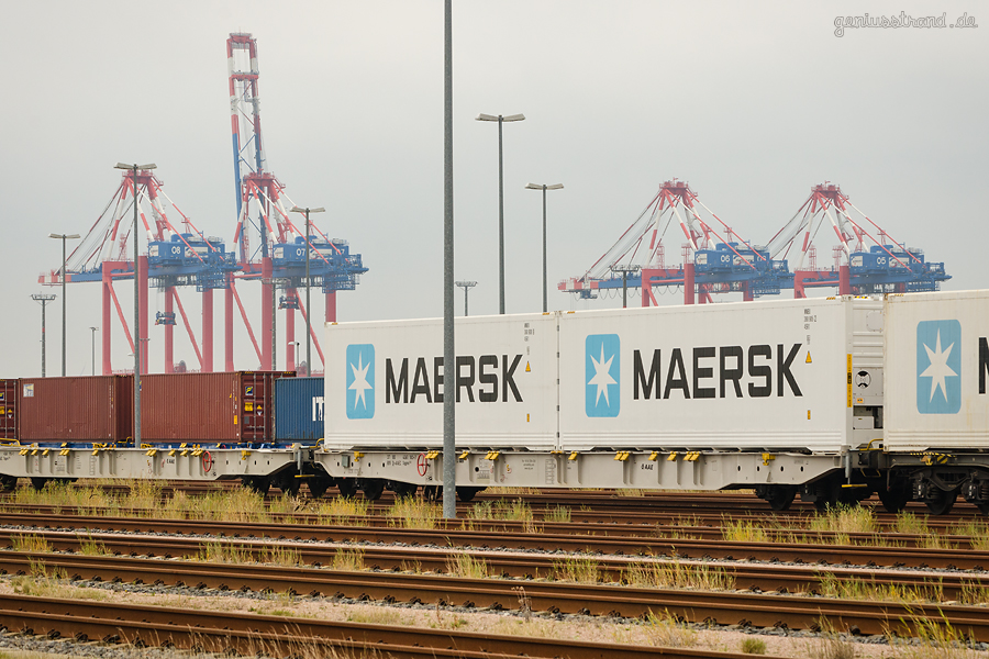 GLEISANBINDUNG CONTAINERTERMINAL WILHELMSHAVEN: Containerzüge am Bahnhof JadeWeserPort
