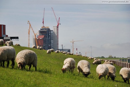 Kraftwerksneubau der GDF Suez in Wilhelmshaven